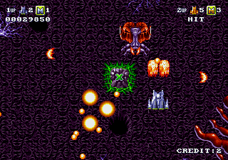 Battle Squadron screenshot 2 for Amiga
